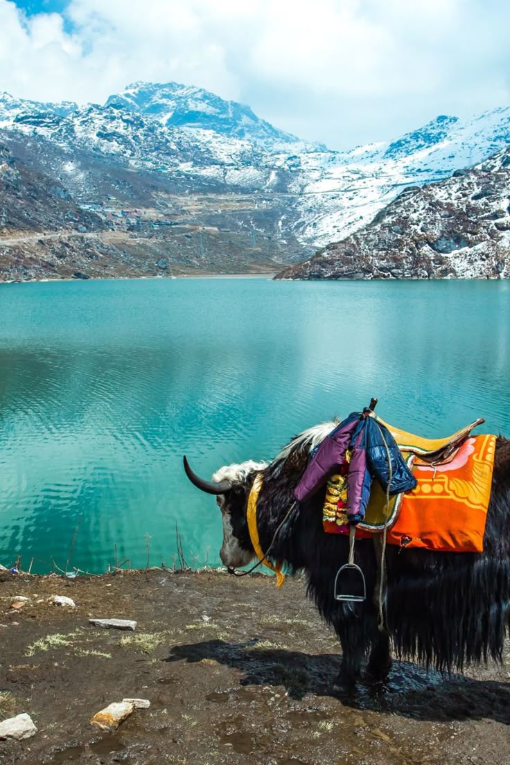 Explore Mountain Wonders